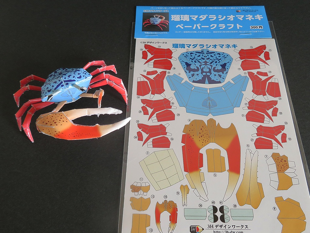 瑠璃マダラシオマネキ　ペーパークラフト