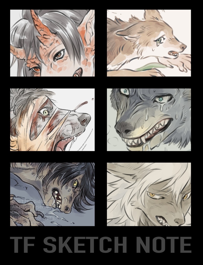 TFイラスト本【TF sketch note】