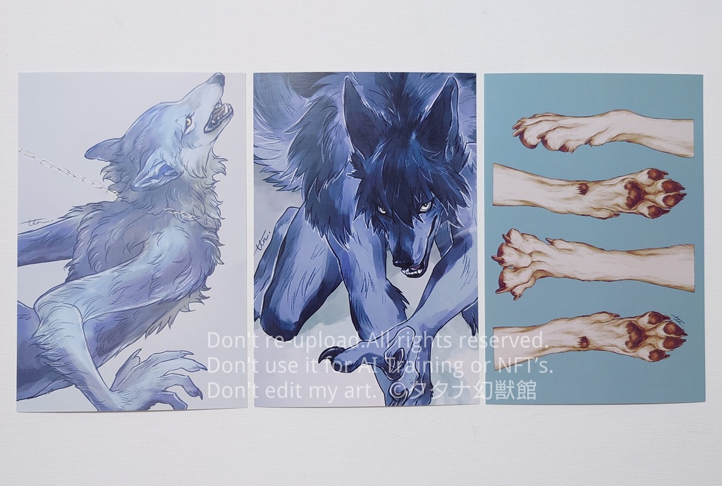 青いポストカードセット