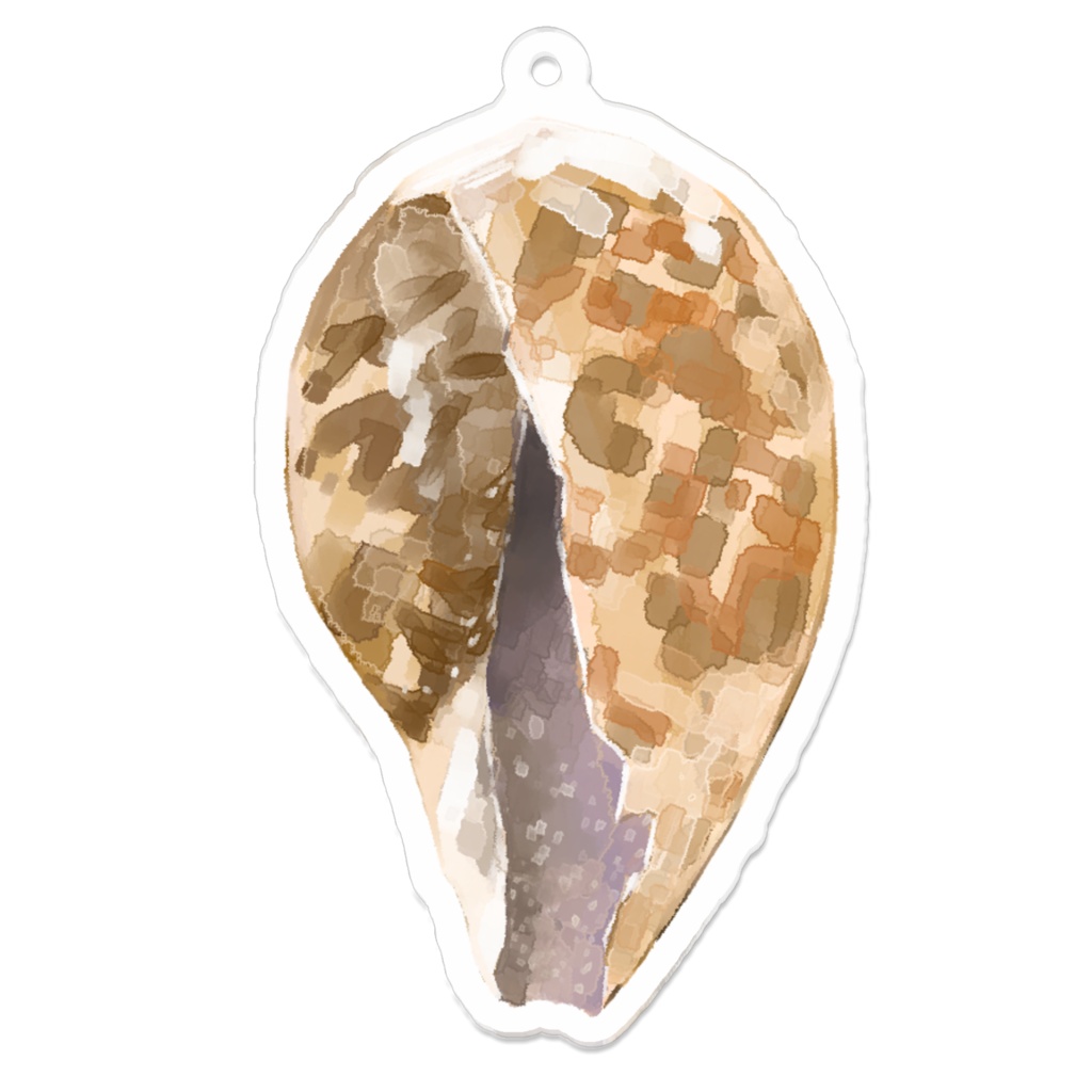 ホシダカラ幼貝のキーホルダー