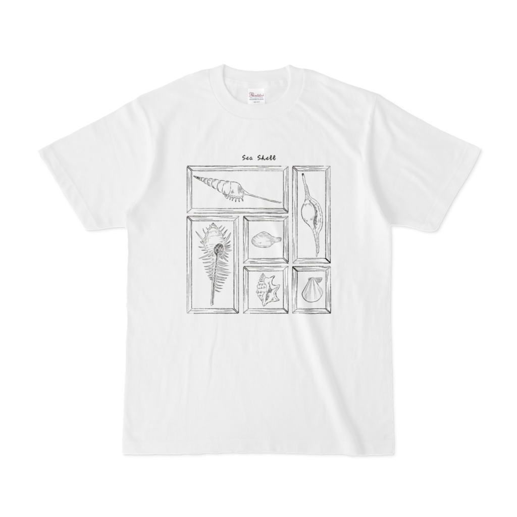 貝殻標本箱　Tシャツ