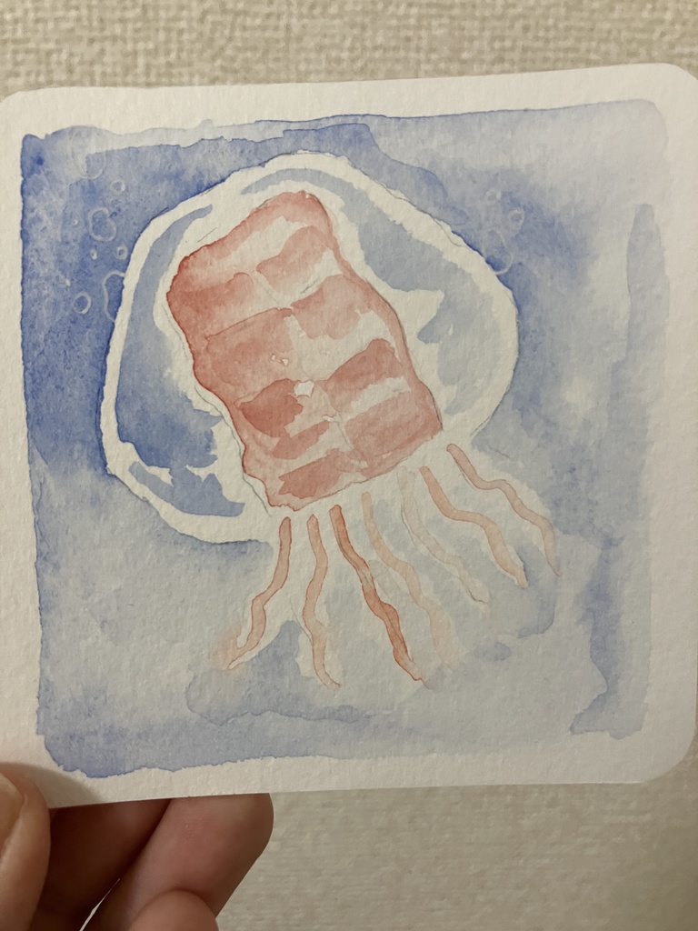 アカキンチャククラゲの原画