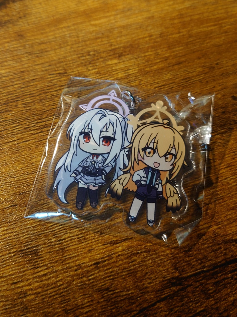 ブルーアーカイブ二次創作小説『銀翼の光跡に〈灰制服編〉』