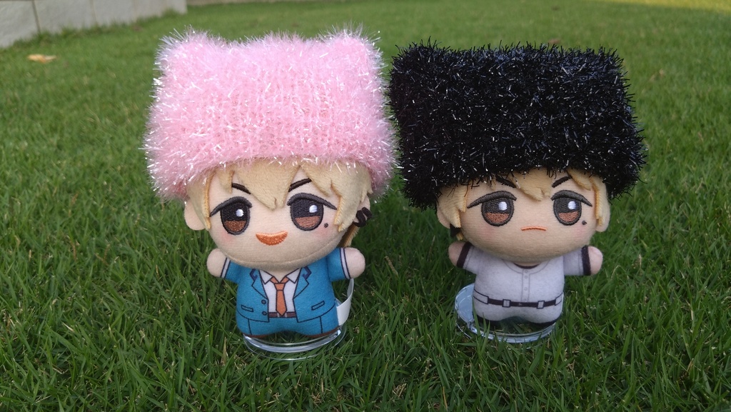 猫耳帽子(ぱやぱや)