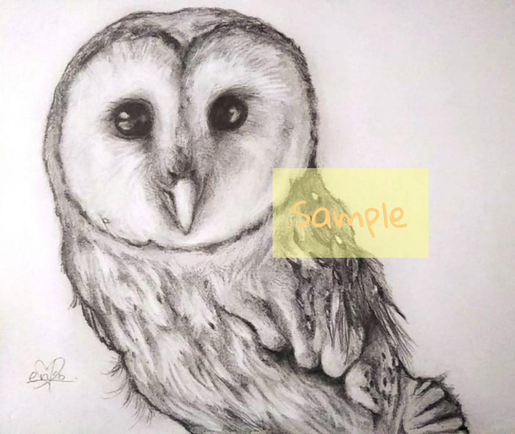 メンフクロウ Barn Owl えりん個展 Booth メンフクロウ Barn Owl えりん個展 Booth