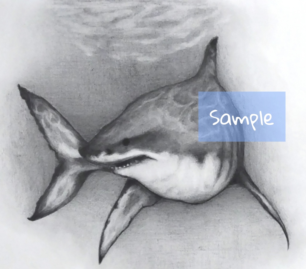 ホオジロザメ Great White Shark えりん個展 Booth