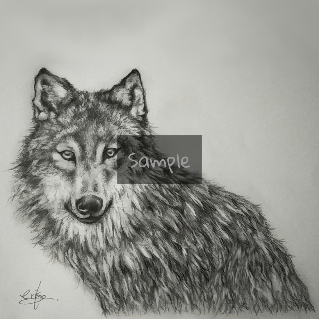 狼 Wolf えりん個展 Booth