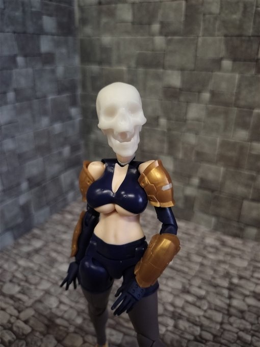 010頭蓋骨ヘッドSKH