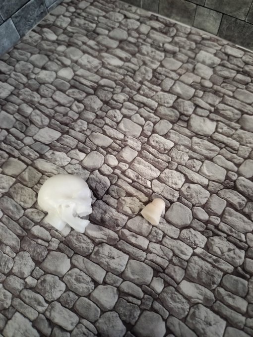 010頭蓋骨ヘッドSKH