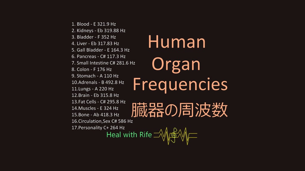 Human Organ frequencies 臓器の周波数 Isochronic Tones アイソクロニックトーン mp3
