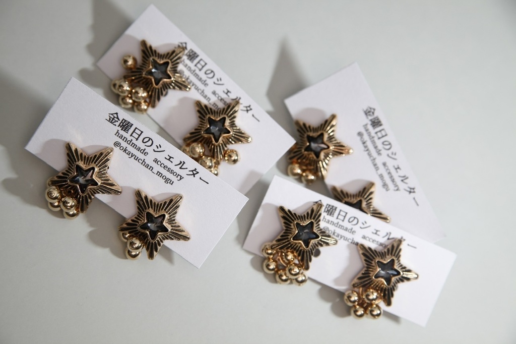 承太郎モチーフearring or pierce