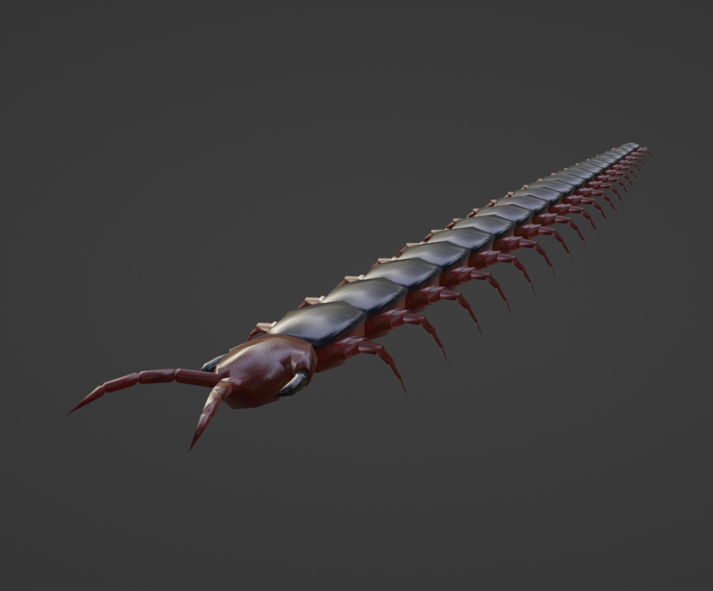 Centipede Low Poly