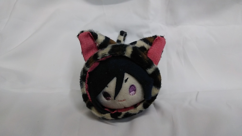 もち用着ぐるみ　猫