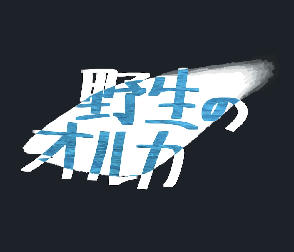 【クイズ問題集】野生のオルカ
