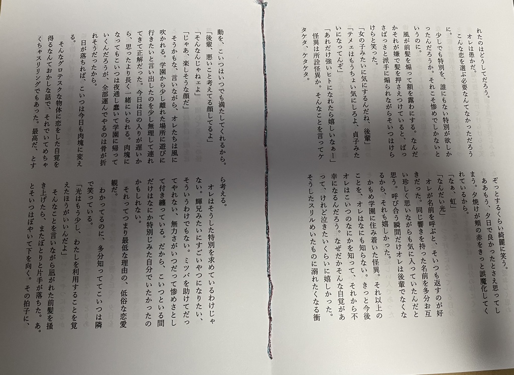 オーダー夢小説もちもち便《8月号》/手縫い本プラン(A5サイズ)【3名限定】