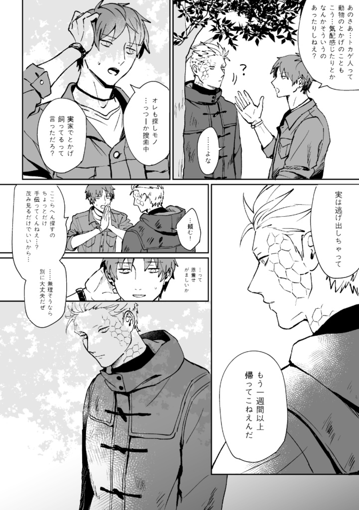 とかげのたいよう②