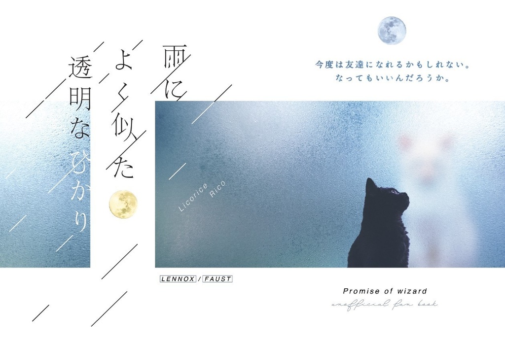 雨によく似た透明なひかり