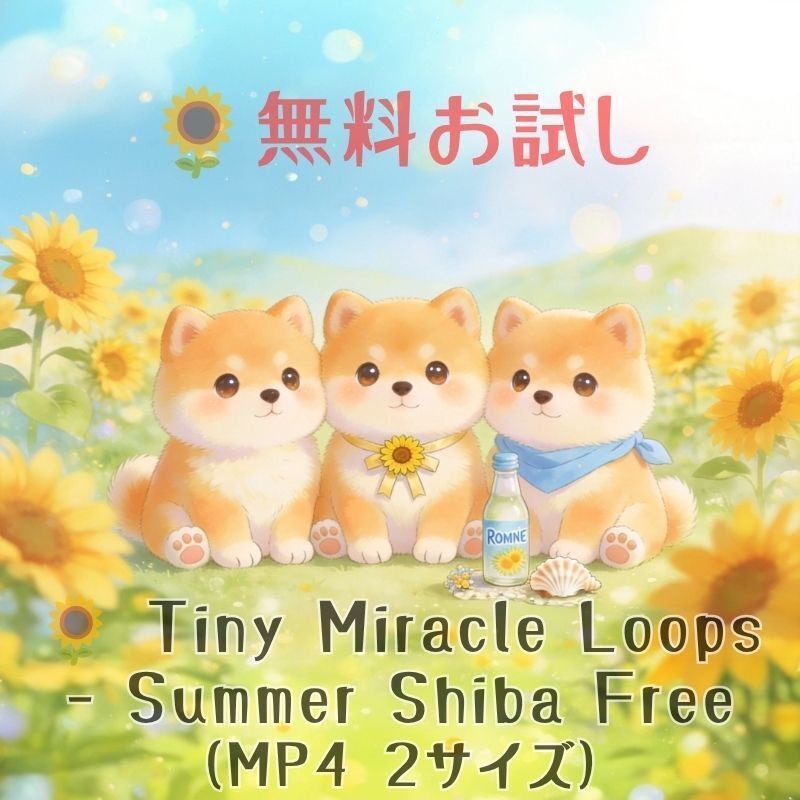 🌻 Tiny Miracle Loops – Summer Shiba Free（MP4 2サイズ）