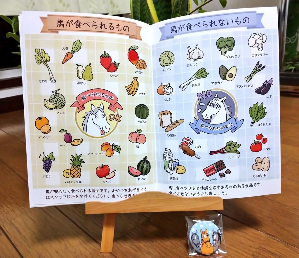 【冊子版】馬術競技ハンドブック