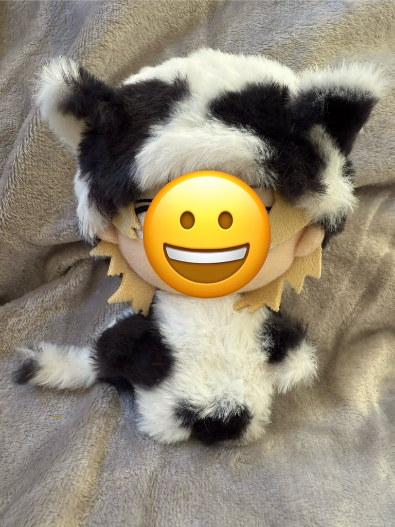 ぬい用着ぐるみネコさん