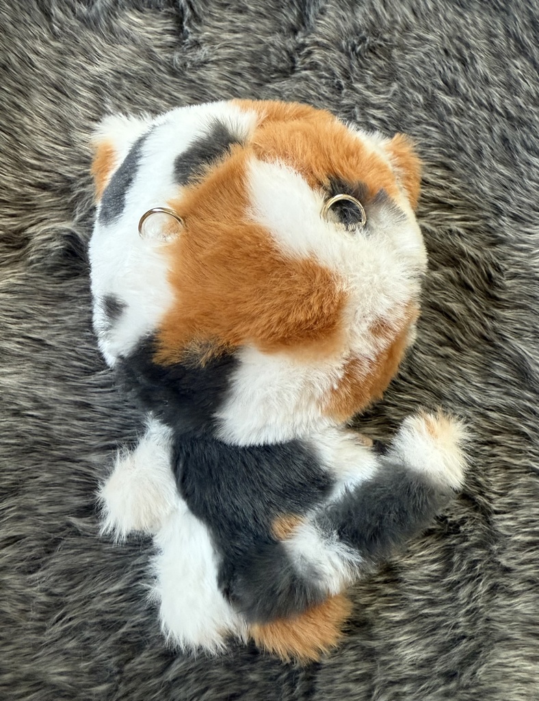 ぬい用着ぐるみネコさん