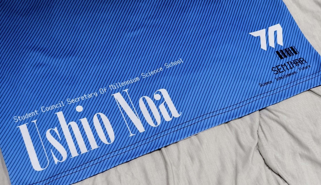 【フルグラフィックTシャツ&法被(はっぴ)&バッグ】