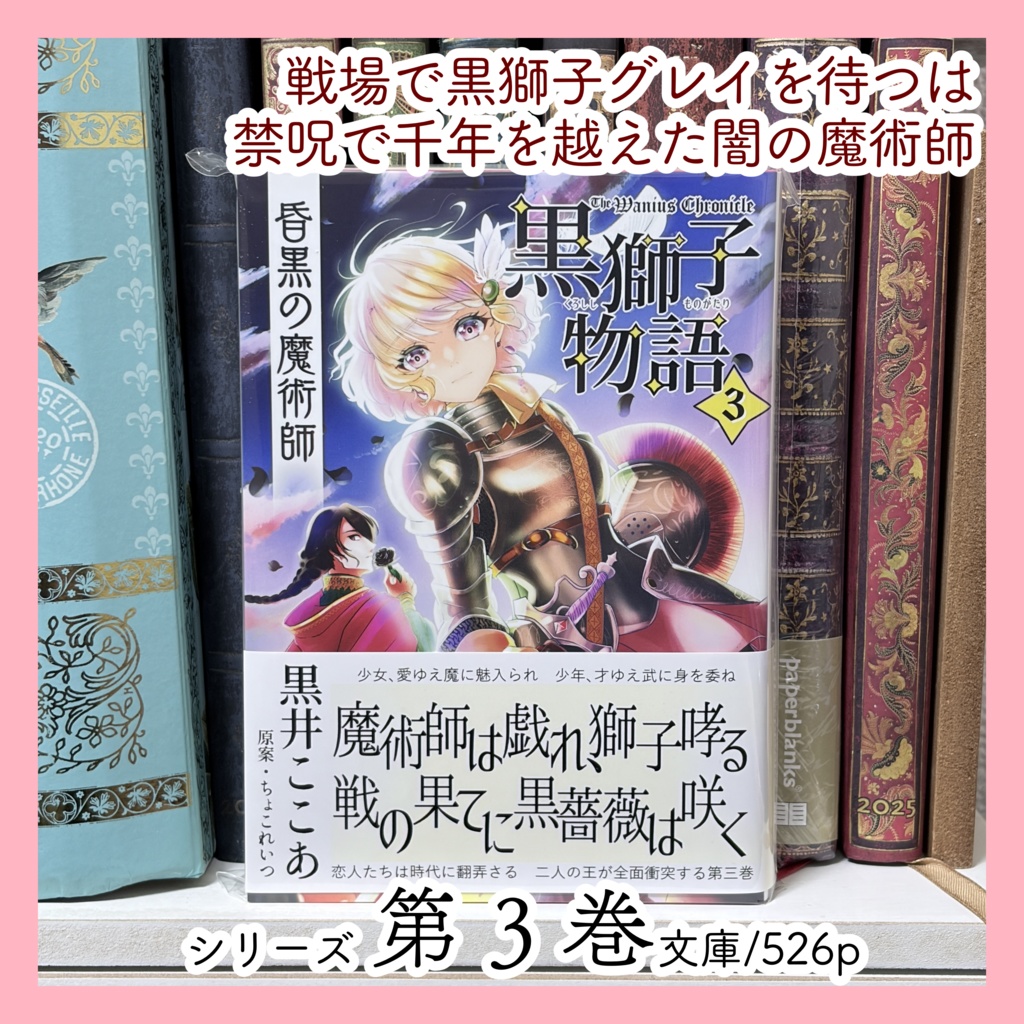 〈黒獅子物語3〉昏黒の魔術師(第二版)