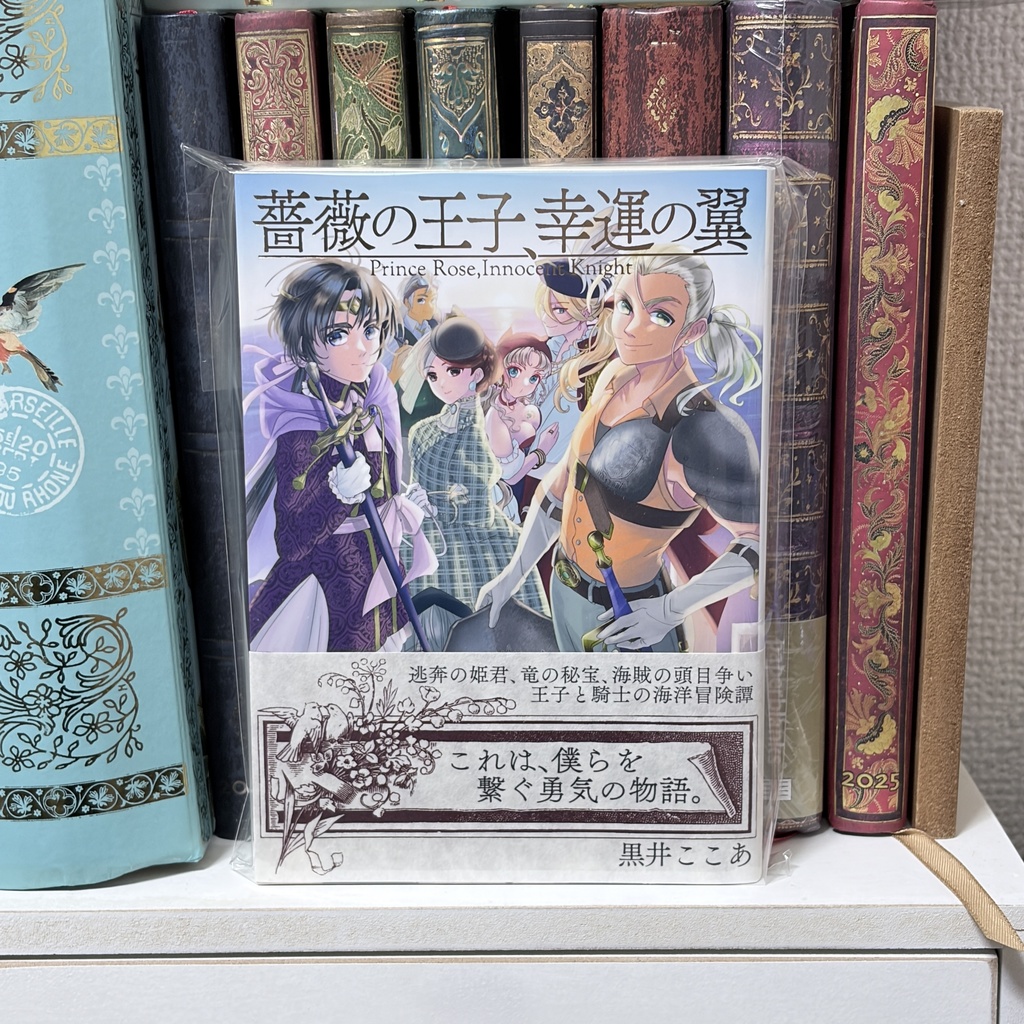 小説本10冊セット(2026年3月既刊全種類)