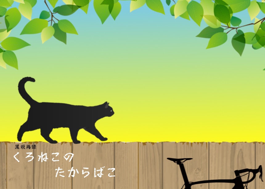 くろねこのたからばこ（2021/11/28新刊）