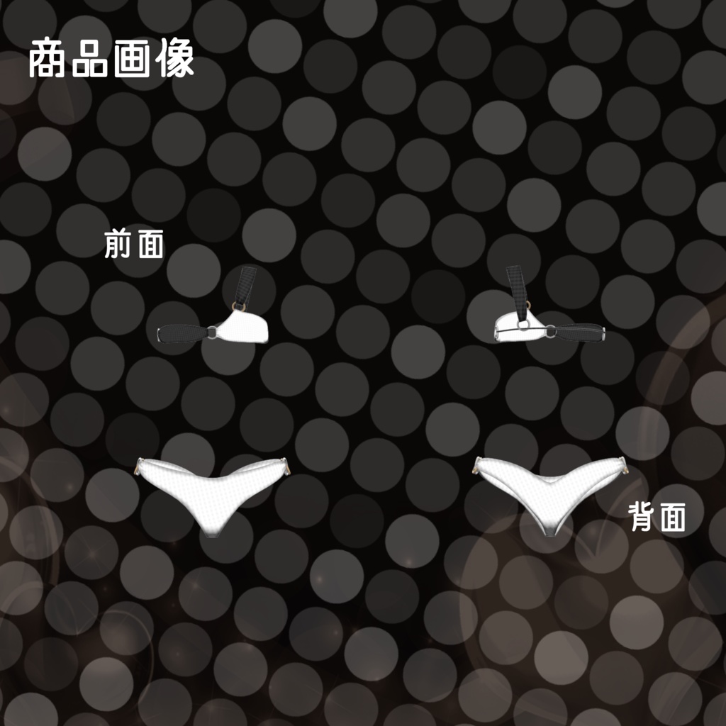 南半球が見える水着【フルセット】