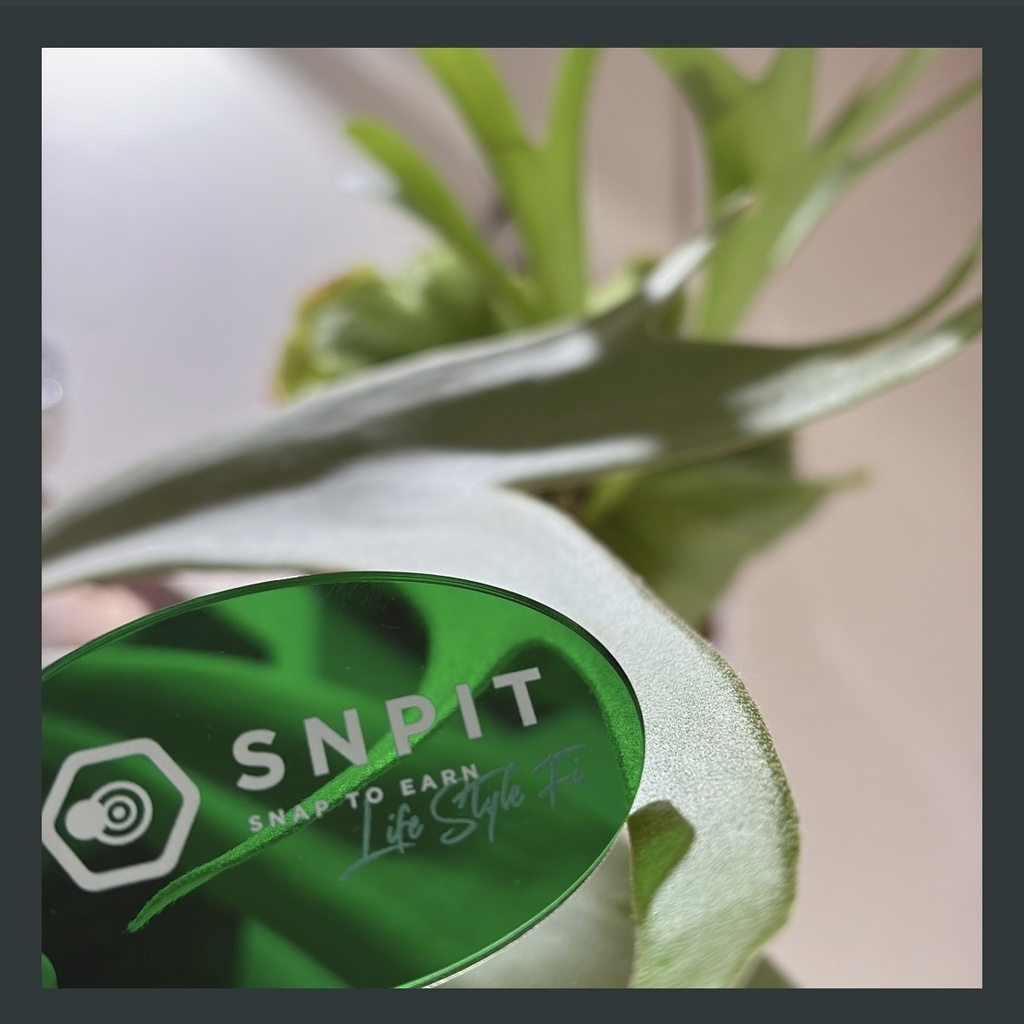 ロゴアクリルキーホルダー(グリーン)