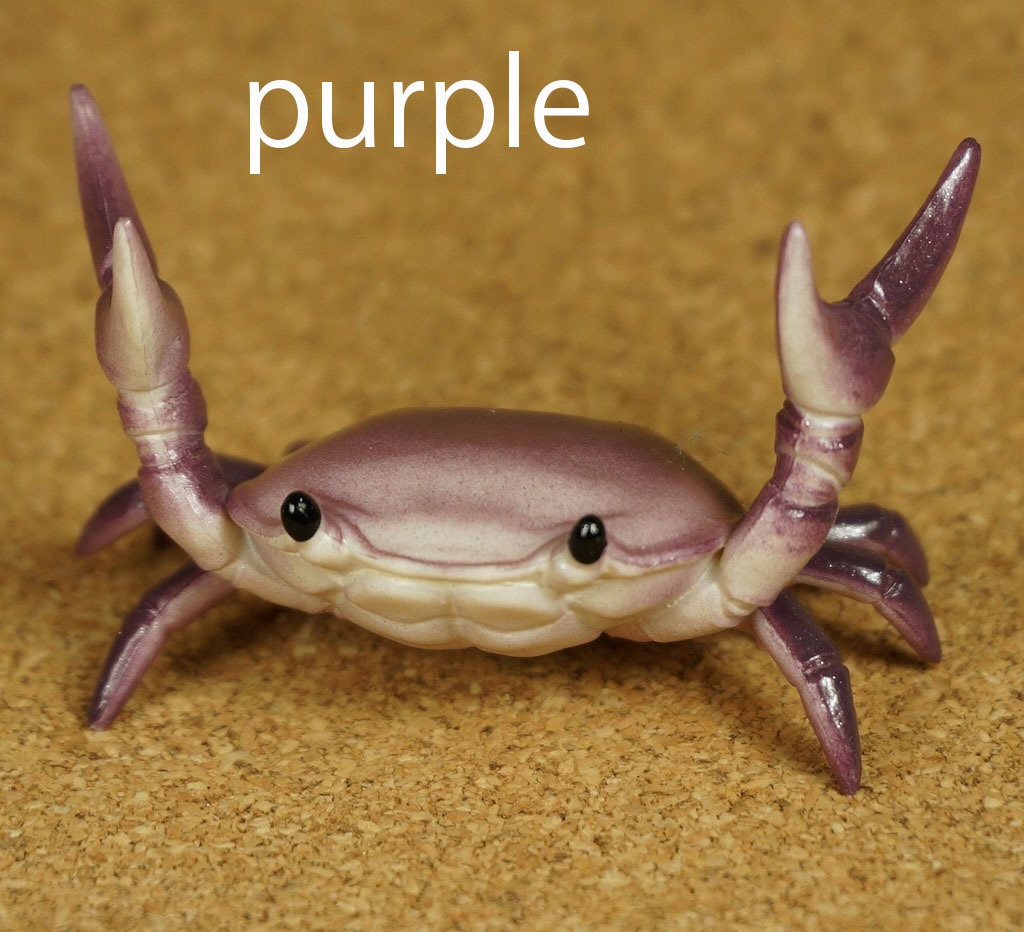カニペンホルダー　Purple
