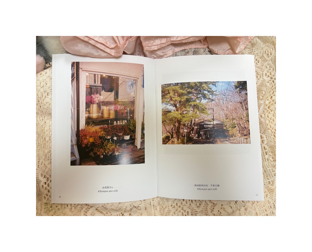 私のお散歩と秋田県写真日記