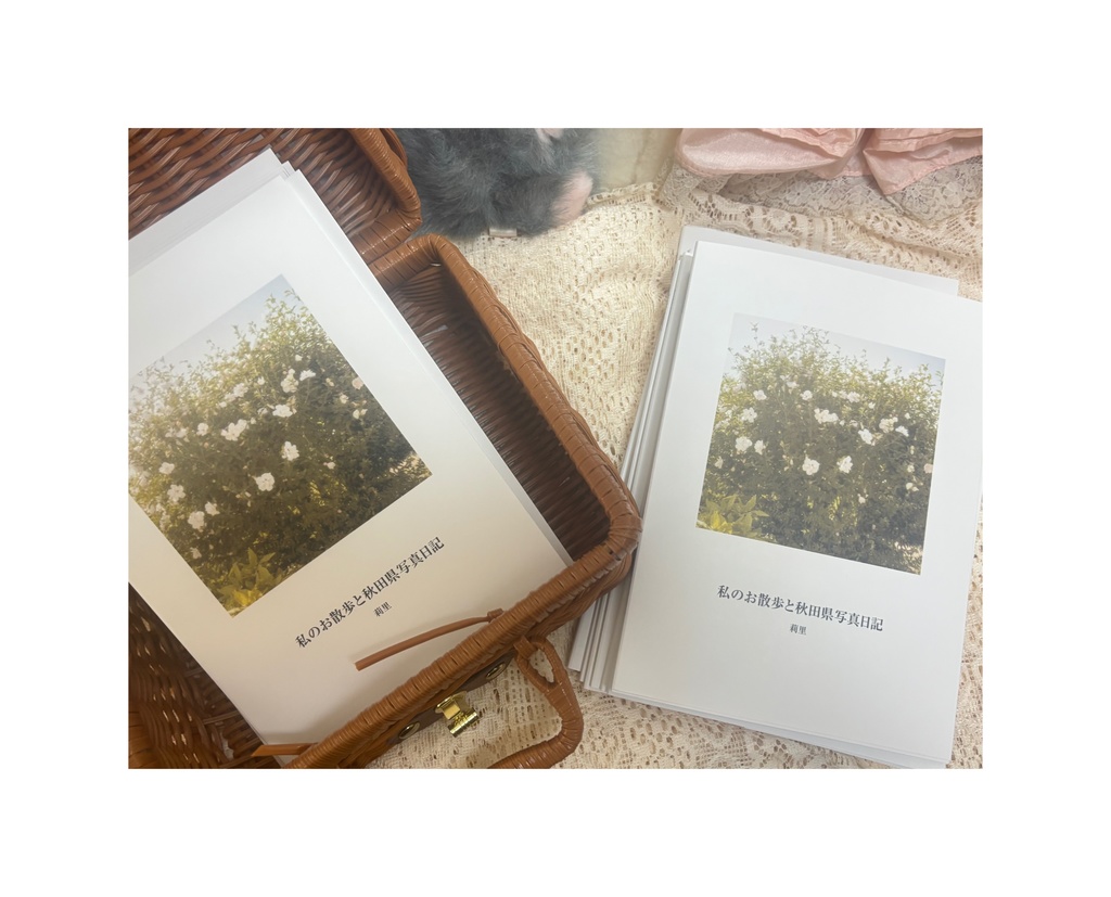 私のお散歩と秋田県写真日記