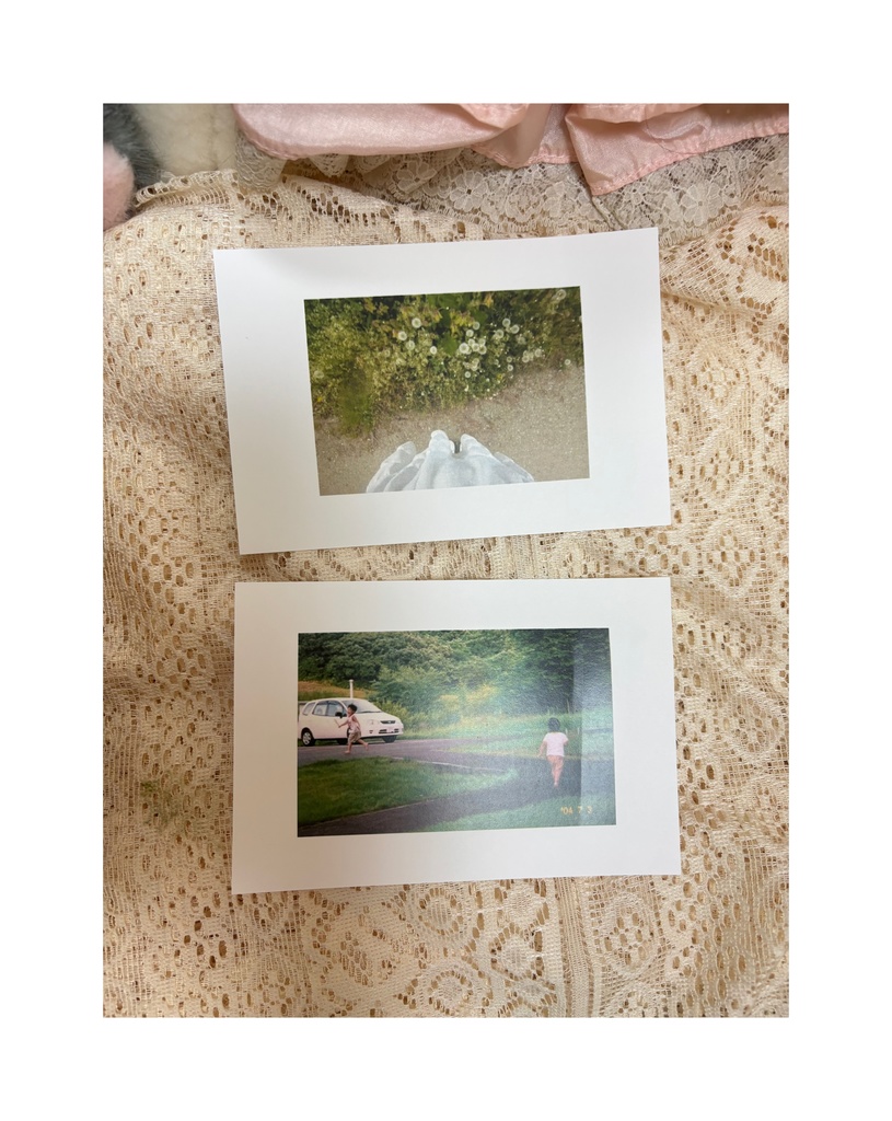 私のお散歩と秋田県写真日記