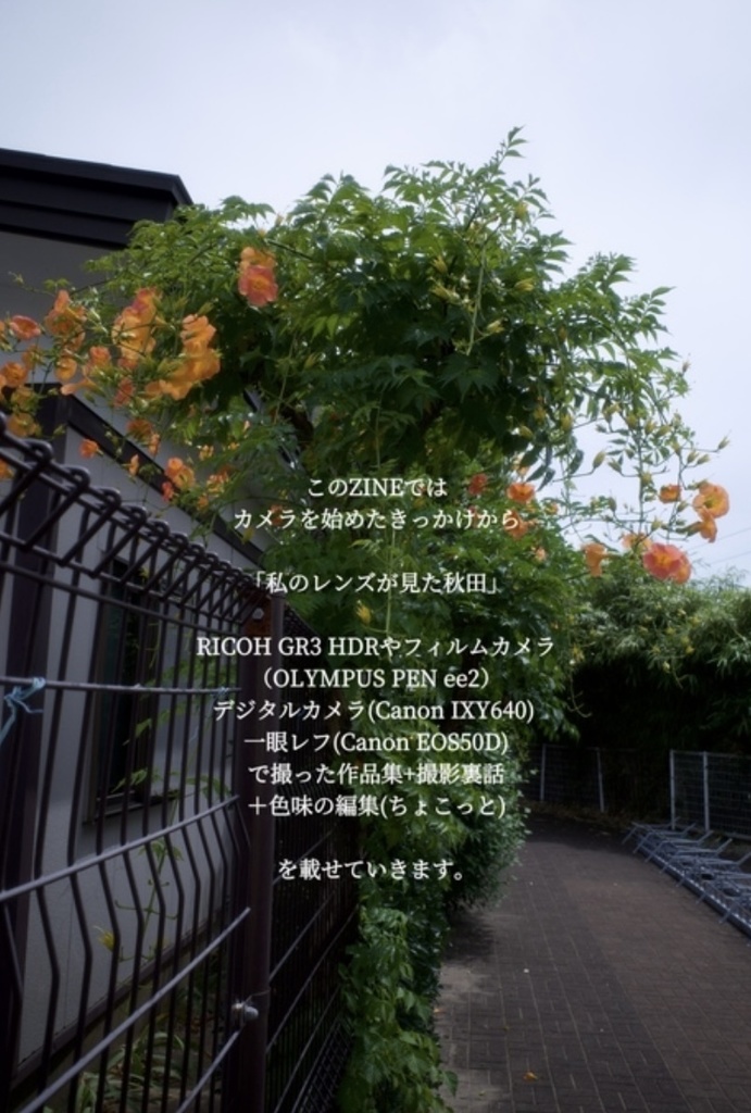 私のお散歩と秋田県写真日記