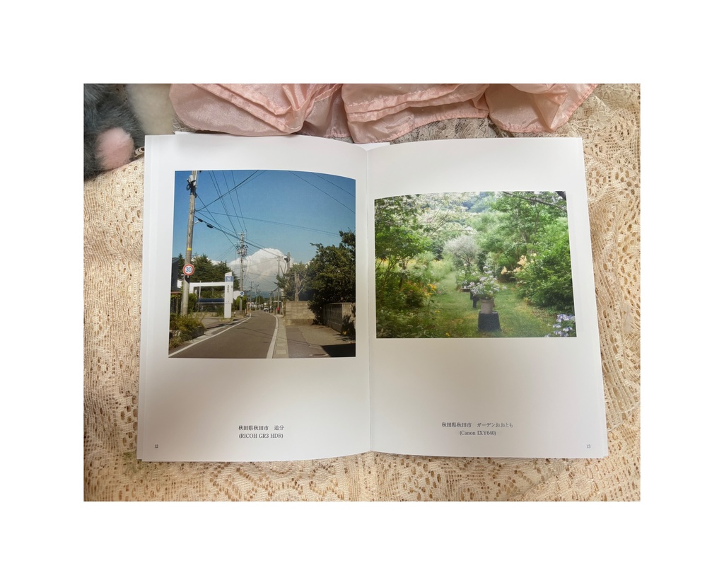 私のお散歩と秋田県写真日記