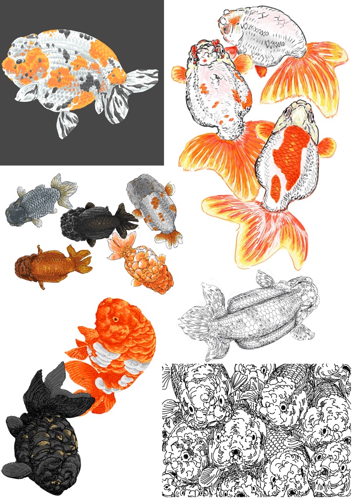 探究・生類画第1刊 【らんちゅう,という有様】 表紙裏表含め34p