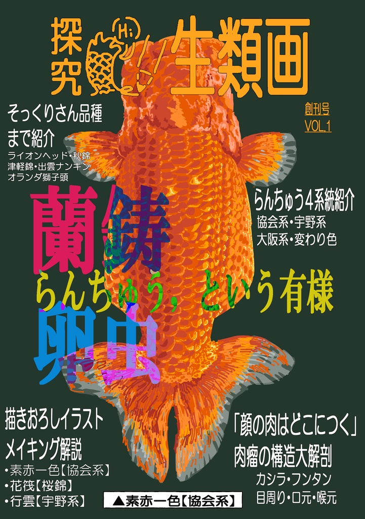 探究・生類画第1刊 【らんちゅう,という有様】 表紙裏表含め34p