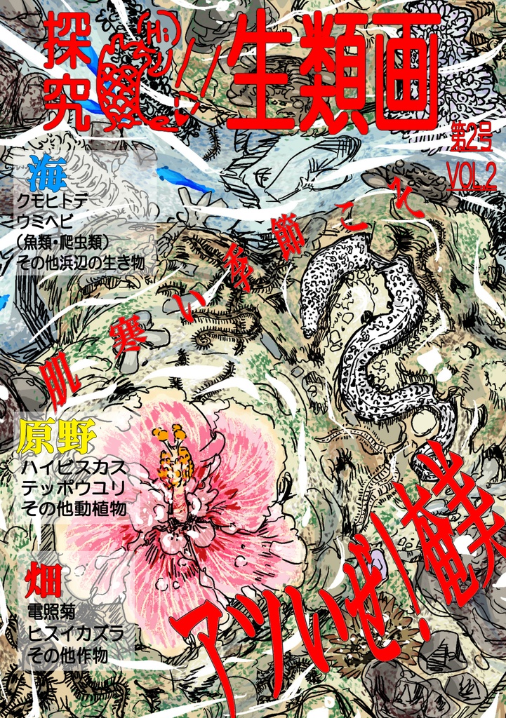  公開中 探究・生類画第１刊　【肌寒い季節こそ　アツいぜ！奄美】 表紙裏表含め34p