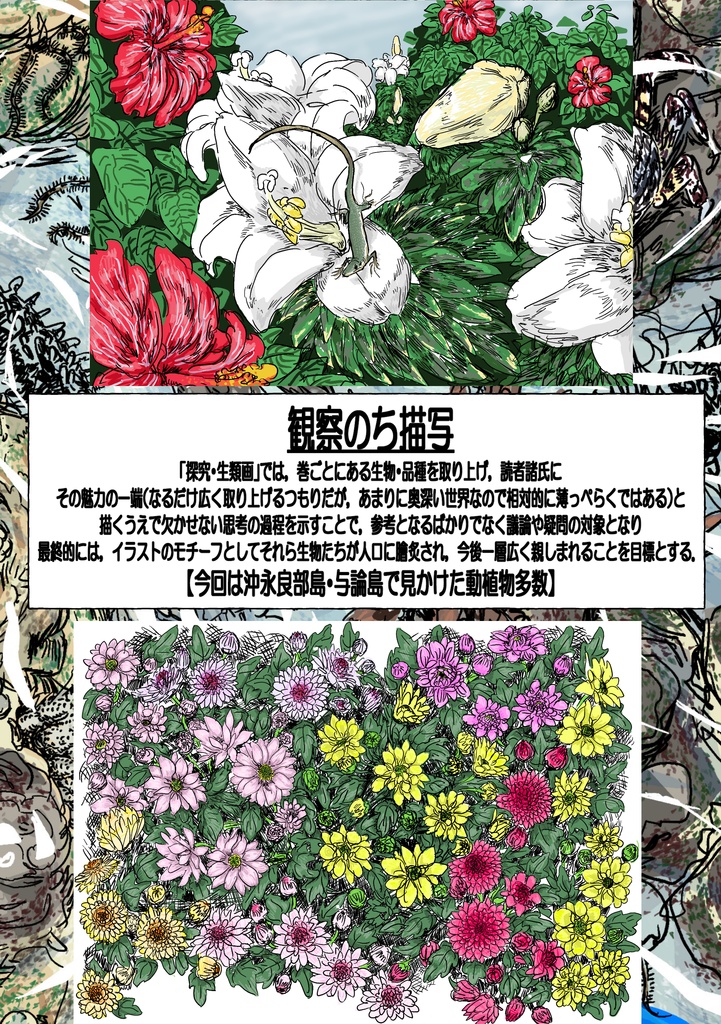 公開中 探究・生類画第1刊 【肌寒い季節こそ アツいぜ!奄美】 表紙裏表含め34p