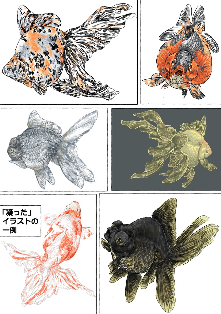 探究・生類画第3刊 まず琉金から描け 表紙裏表含め116p