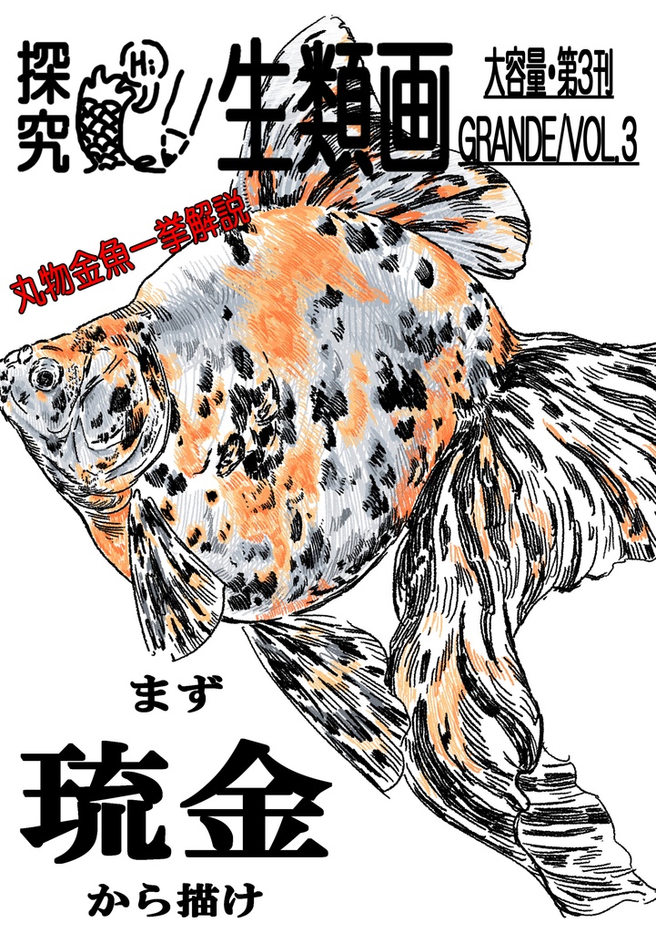 探究・生類画第3刊 まず琉金から描け 表紙裏表含め116p