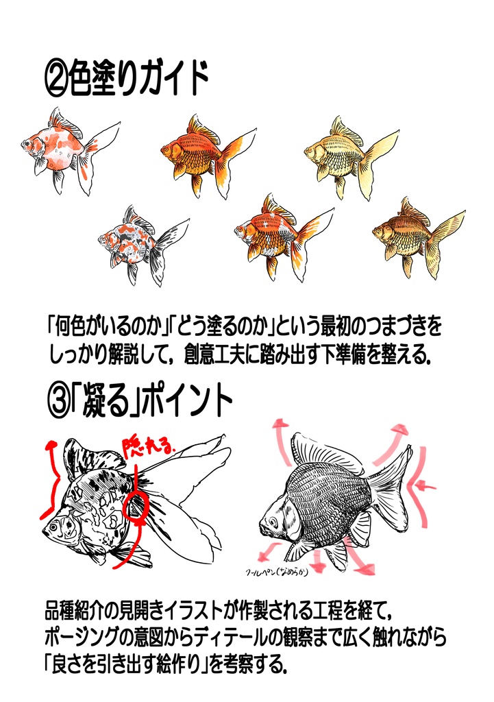 探究・生類画第3刊 まず琉金から描け 表紙裏表含め116p