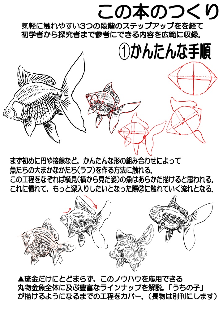 探究・生類画第3刊 まず琉金から描け 表紙裏表含め116p