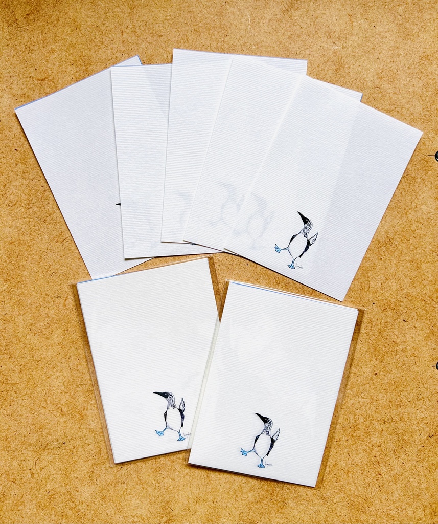 アオアシカツオドリ　ミニ便せん