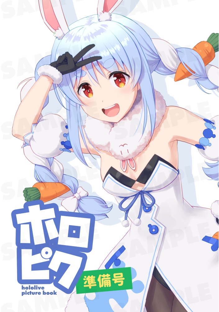 ホロピク準備号
