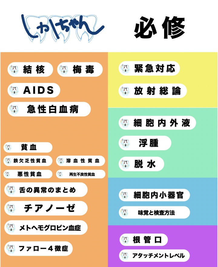【しかちゃんコラボ】第1弾!必修・衛生・外科・解剖・薬理のPDF &Anki