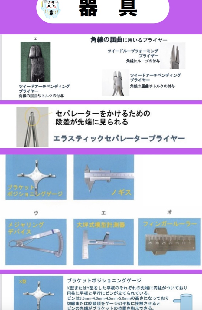 【しかちゃんコラボ】第2弾!補綴・矯正・麻酔・理工・生理のPDF&Anki
