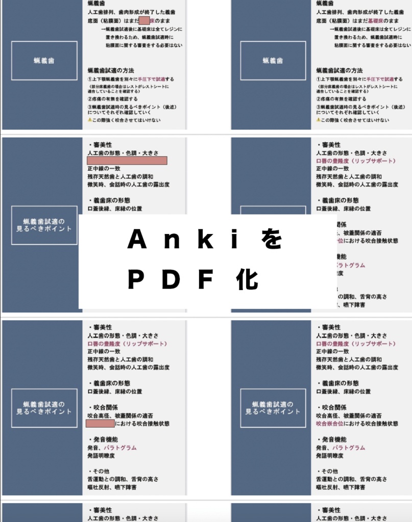 【しかちゃんコラボ】第2弾!補綴・矯正・麻酔・理工・生理のPDF&Anki